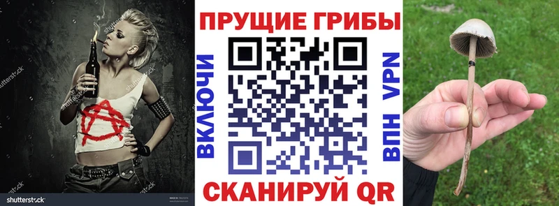 нарко площадка клад  Верхний Тагил  Галлюциногенные грибы Magic Shrooms  магазин   